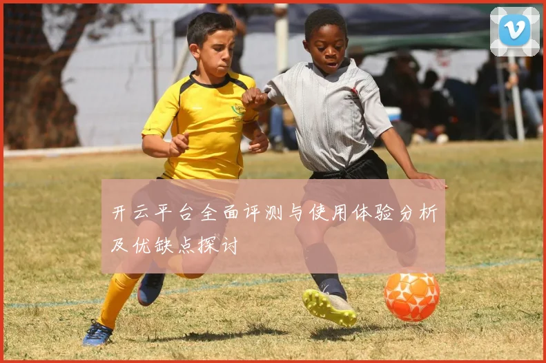 开云平台全面评测与使用体验分析及优缺点探讨