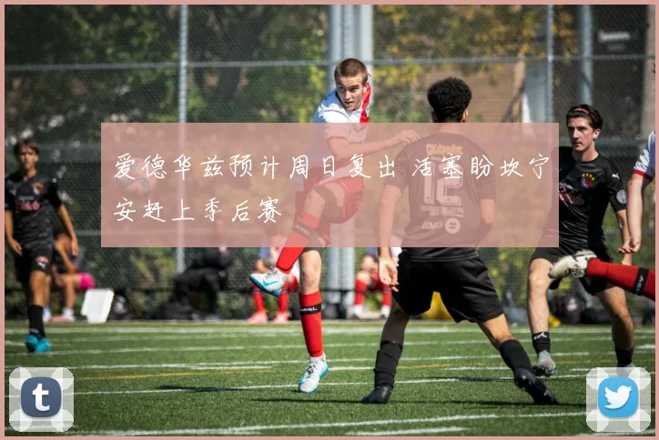 爱德华兹预计周日复出 活塞盼坎宁安赶上季后赛